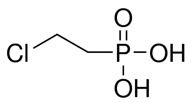 2-Chloro Ethyl Phosphonic Acid (Ethrel An effective germinating agent