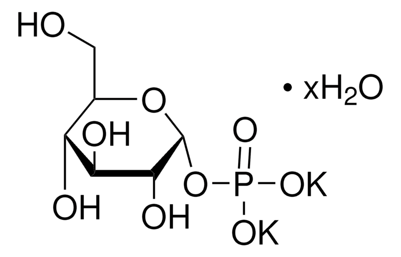 Glucose-1-Phosphate Dipotassium Salt for Biochemistry
