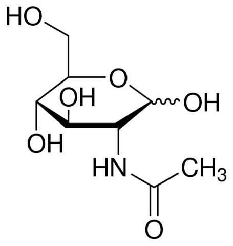 N-Acetyl-D-Glucosamine for Biochemistry