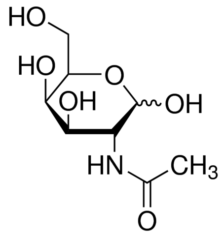 N-Acetyl-D-Galactosamine for Biochemistry