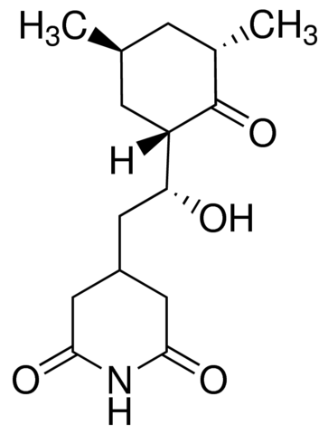 Actidione AR (Cycloheximide) Inhibitor of Protein Biosynthesis (Antibiotic against yeast)