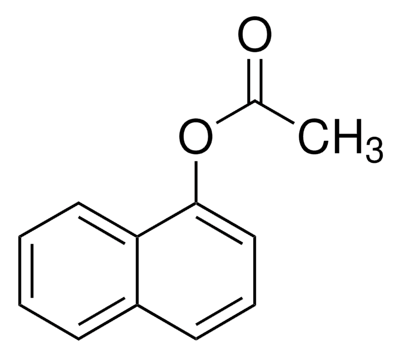 1-Naphthyl Acetate AR Naphthol free Substrate for esterase