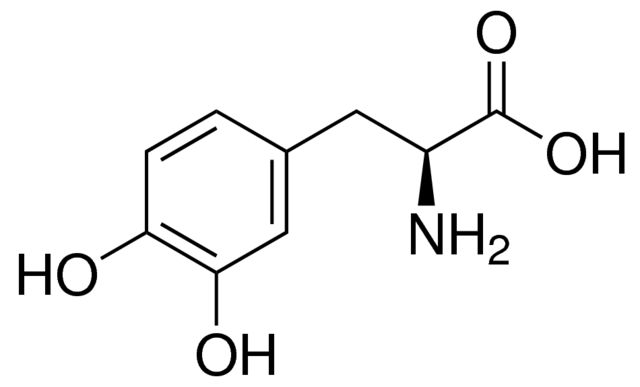 L-Dopa For Biochemistry