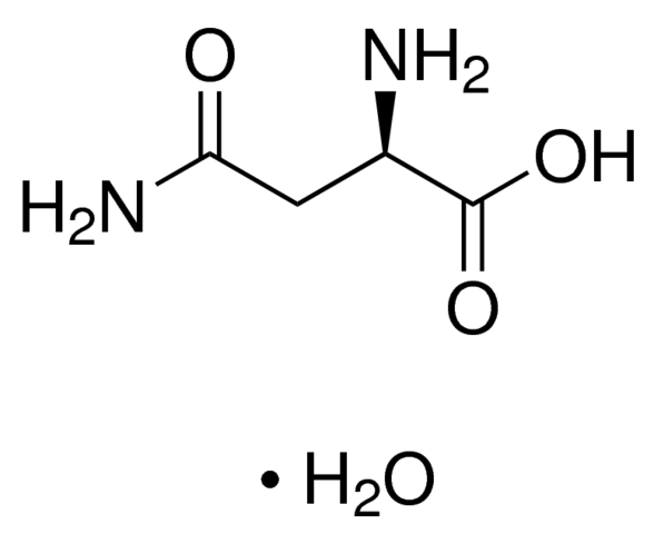 D-Asparagine Monohydrate for Biochemistry