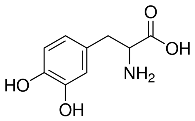 DL-Dopa