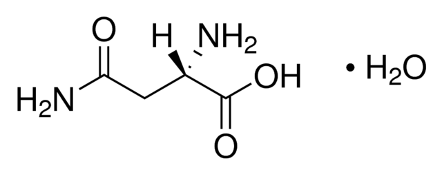 L-Asparagine Monohydrate for Biochemistry