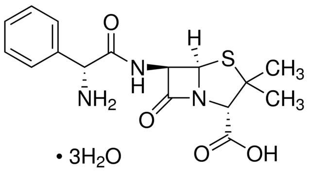 Ampicillin Trihydrate for Lab Use