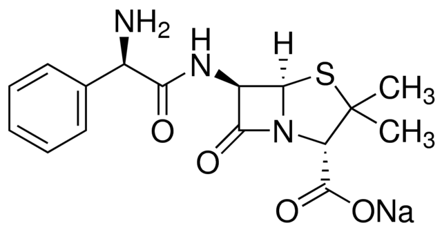 Ampicillin Sodium Salt for Biochemistry for Lab Use