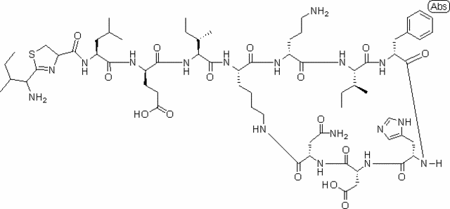 Bacitracin 50,000 Units in vial