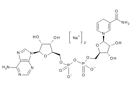 ?-Nicotinamide Adenine Dinucleotide Disodium Salt Extrapure for Biochemistry (?-NADH, DPNH)