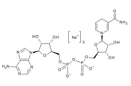 β-Nicotinamide Adenine Dinucleotide Disodium Salt Extrapure for Biochemistry (β-NADH, DPNH)