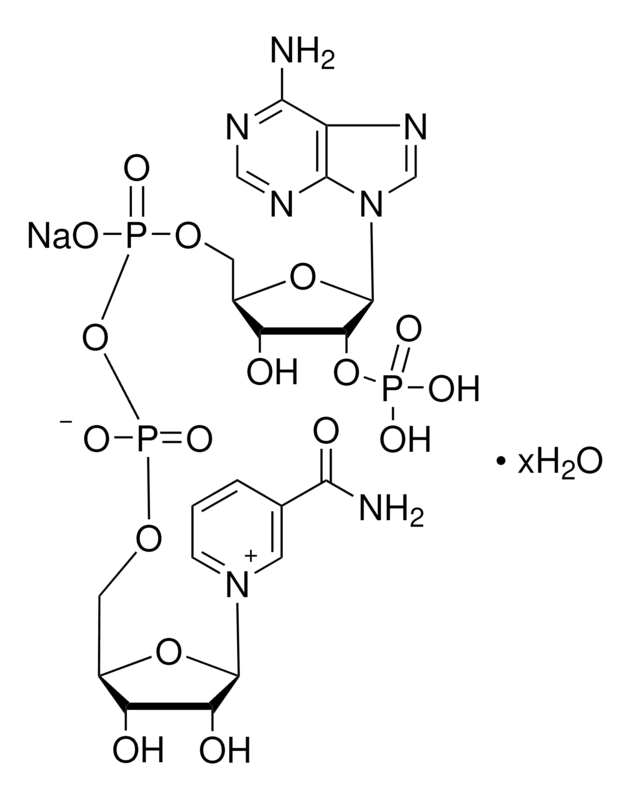 b-Nicotinamide Adenine Dinucleotide Phosphate Monosodium Salt Extrapure for Biochemistry (b-NADP, TPN)