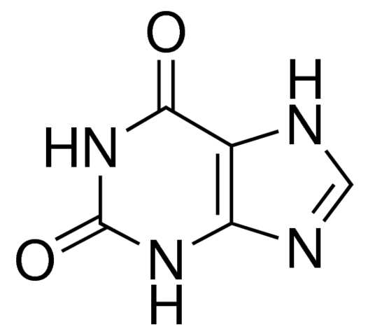 Xanthine for Biochemistry