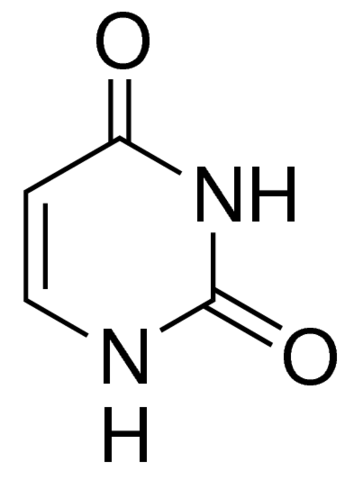 Uracil for Biochemistry assay (UV)