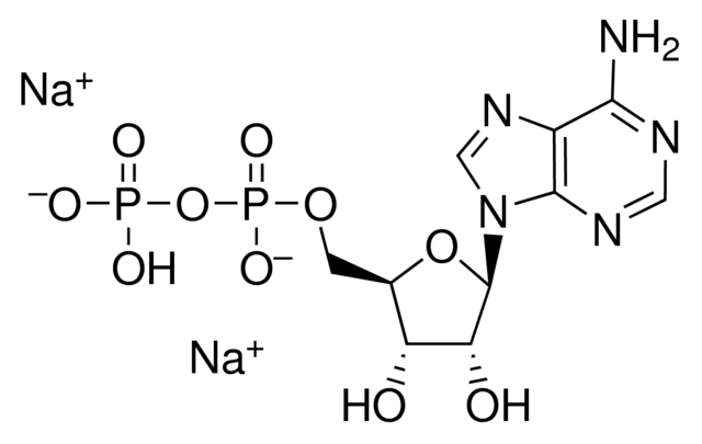 Adenosine-5-Diphosphate Disodium Salt (ADP-Na2)