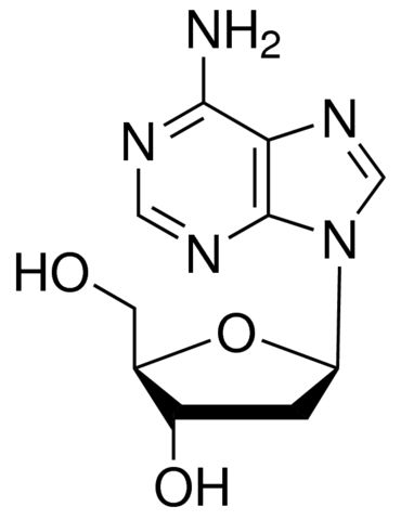2-Deoxy Adenosine Extra Pure for Biochemistry