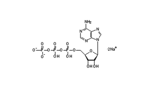 Adenosine-5-Triphosphate Disodium Salt (ATP-Na2)