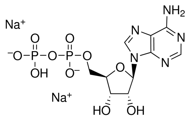 Adenosine-5-Diphosphate Disodium Salt For Molecular Biology