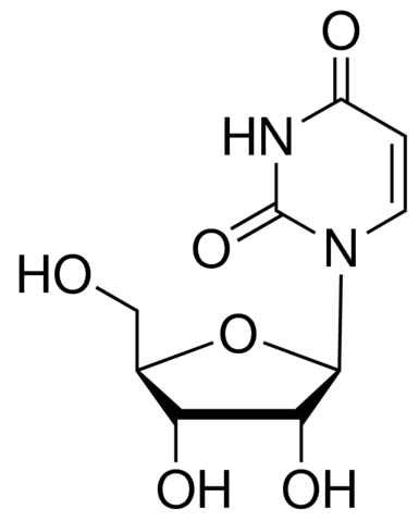 Uridine for Biochemistry