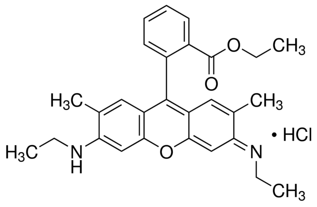 Rhodamine 6G C.l. No. 45160
