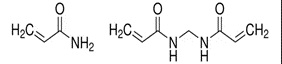 Acrylamide / Bis-acrylamide 30% Mix Solution (Ratio 29:1)