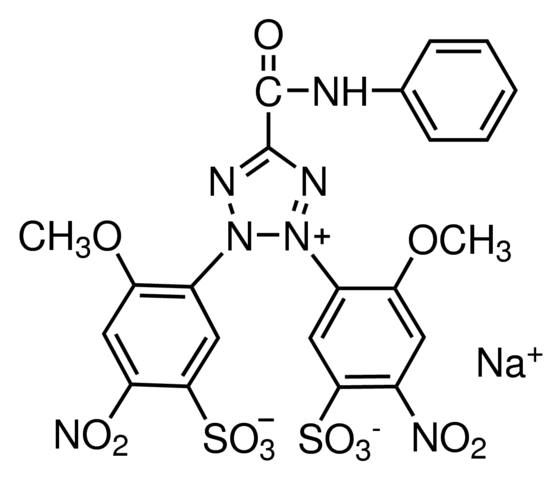 XTT Sodium Salt Cell Culture Tested