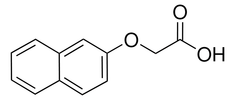 2-Naphthoxyacetic Acid (NOA) Plant Culture Tested 97.0%