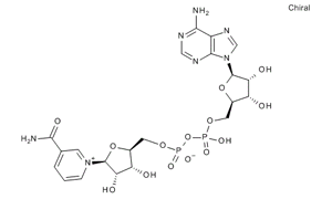 b-Nicotinamide Adenine Dinucleotide, From Yeast Cell Culture Tested:  95.0%