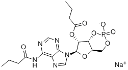 N6-2'-O-Dibutyryladenosine-3',5' Cyclic Monophosphate Sodium Salt Bucladesine sodium salt, Dibutyryl cAMP sodium salt, Dibutyryl cyclic-AMP sodium salt Cell Culture Tested