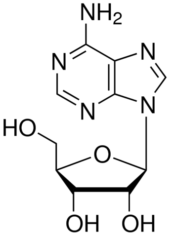 Adenosine, Cell Culture Tested