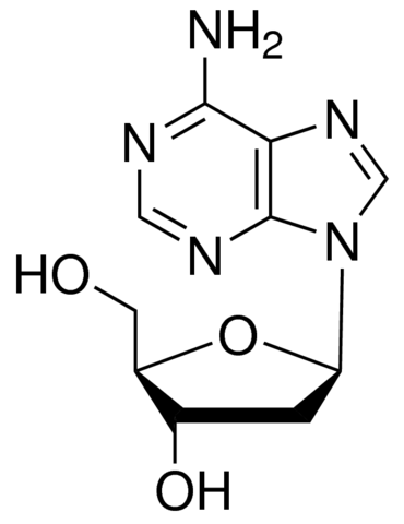 2'-Deoxyadenosine Monohydrate Cell Culture Tested