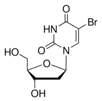 5-Bromo-2'-Deoxyuridine 5-BrdU Cell Culture Tested