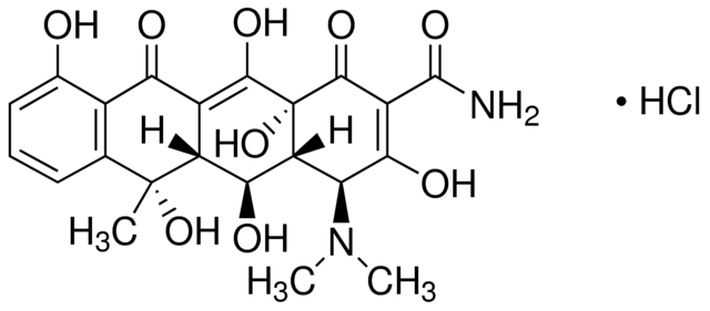 Oxytetracycline HCl Plant Culture Tested