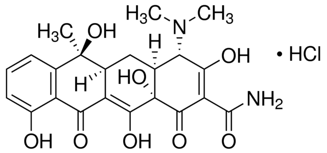 Tetracycline Hydrochloride For Molecular Biology 98%