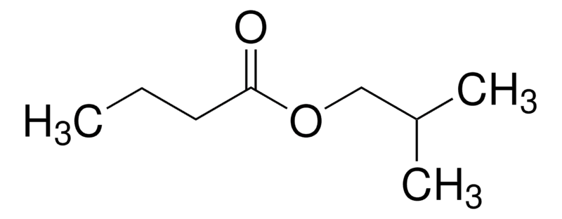 Iso Butyl Butyrate for Synthesis