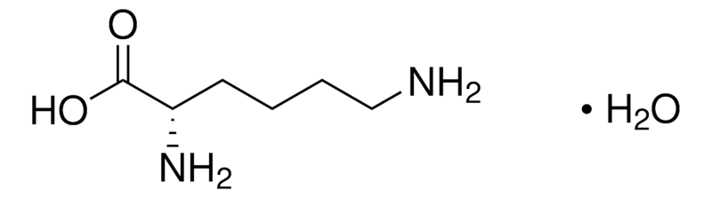 L-Lysine (Base) Monohydrate Store at 2 - 8