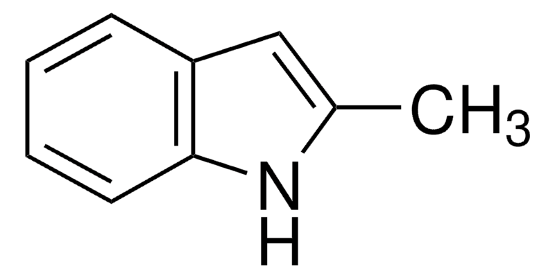 2-Methyl Indole for Synthesis