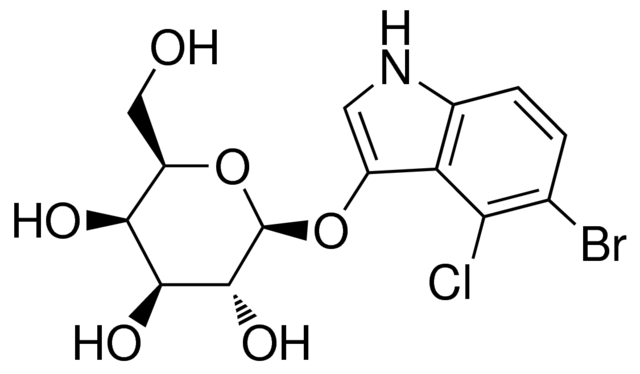 X-Gal 98.0% (5-Bromo-4-chloro-3-indolyl-b-D-galactopyranoside) Plant Culture Tested