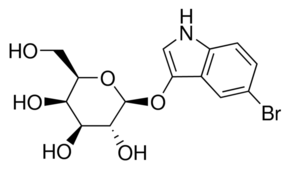 Bluo-Gal (5-Bromo-3-indolyl-b-Dgalacto pyranoside) Plant Culture Tested