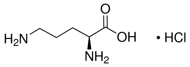 L-Ornithine Mmonohydrochloride 99.0% Plant Culture Tested