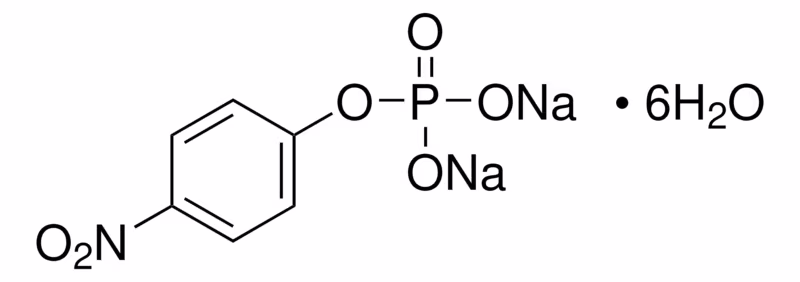 p-Nitrophenyl Phosphate DisodiumSalt Hexahydrate For Molecular Biology98.0%