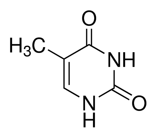 Thymine for Biochemistry