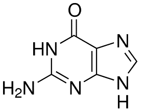 Guanine for Biochemistry