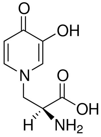 Mimosine (Leucenol) for Biochemistry