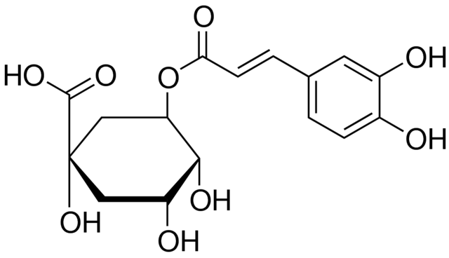 Chlorogenic Acid