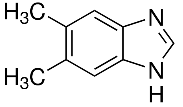 5,6-Dimethyl Benzimidazole