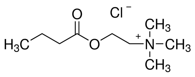Butyrylcholine Chloride for biochemistry