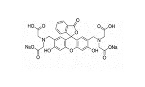 Calcein Disodium Salt