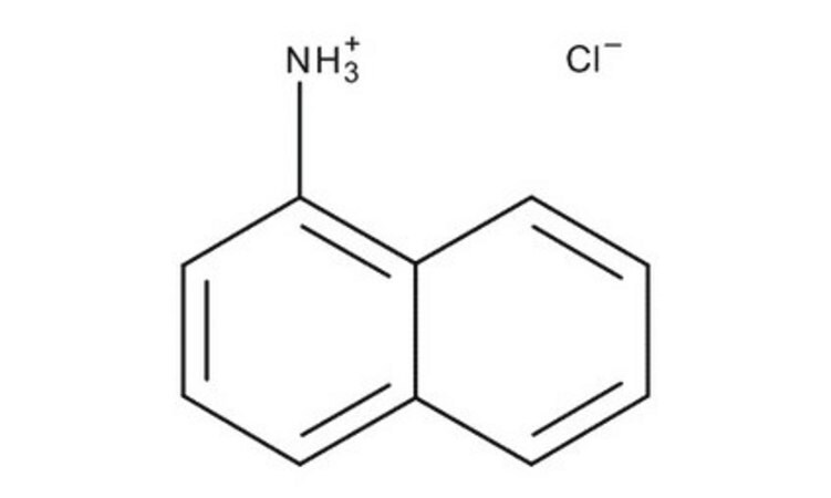1-Naphthylamine Hydrochloride (1-Naphthyl Ammonium Chloride)