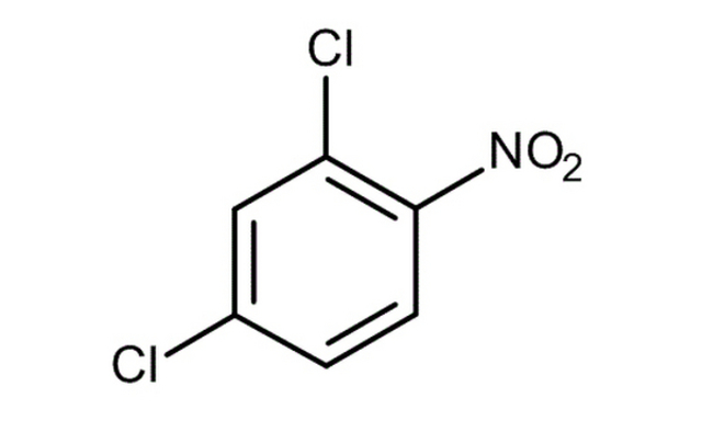 2:4-Dichloronitro Benzene for Synthesis